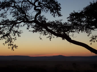 Sunset Photo